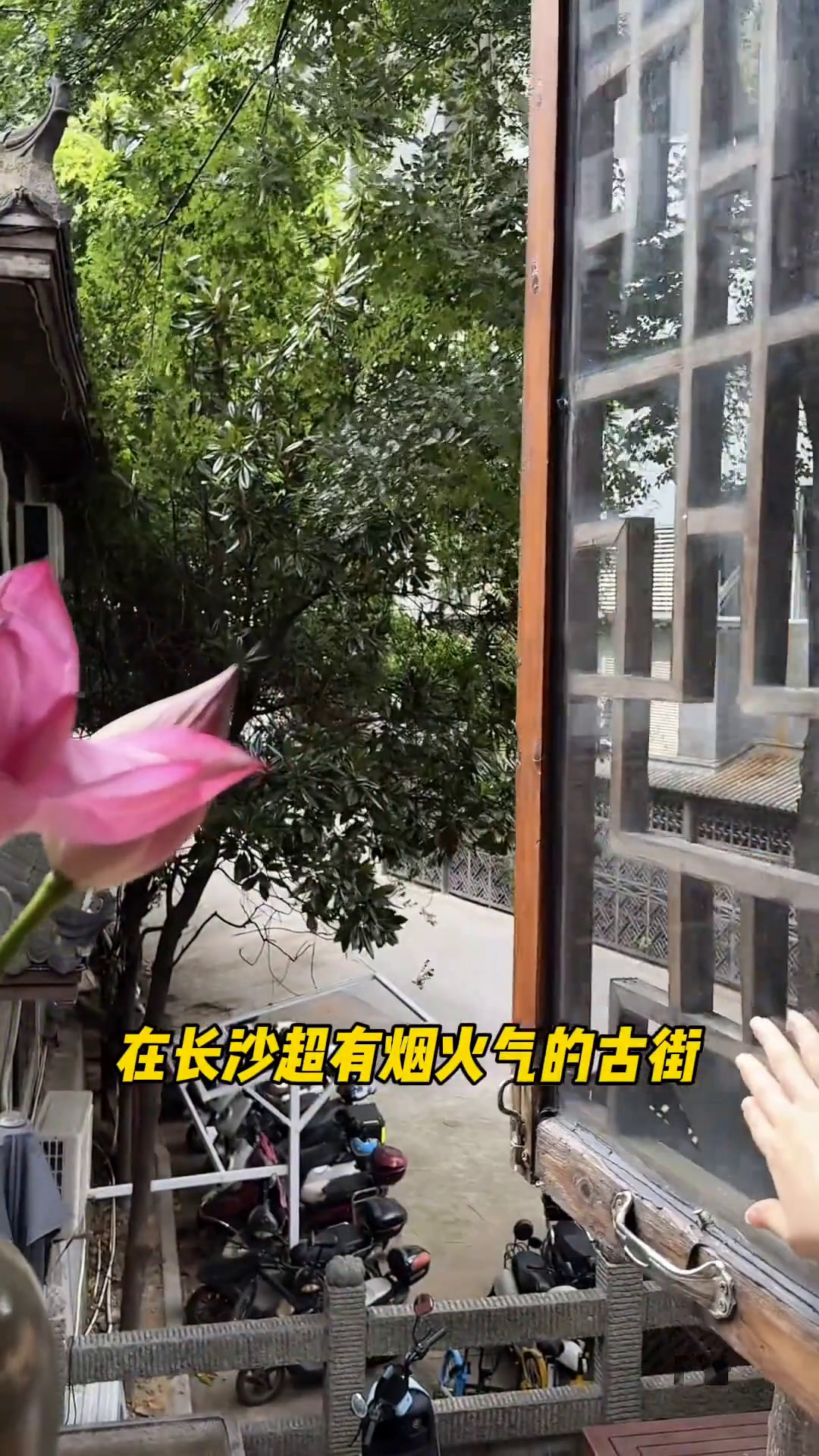 长沙的都正街里面竟然藏了一家可以围冰煮茶的宝藏茶馆-叶小茶!在这里可以感受真正的慢生活!真