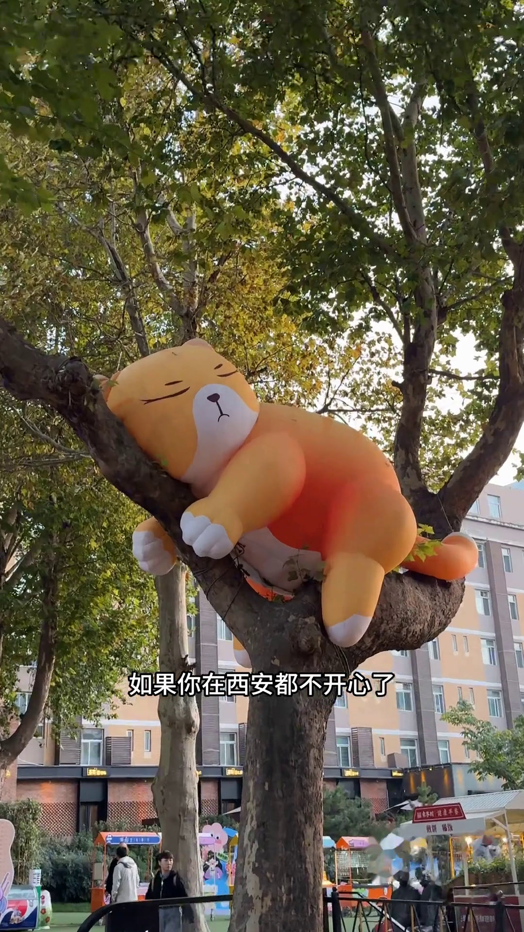 西影厂这家粤菜私房菜强烈给大家!真的好吃不贵!氛围也好!宽鱼金秋盛宴天冷了吃点热乎的广式茶