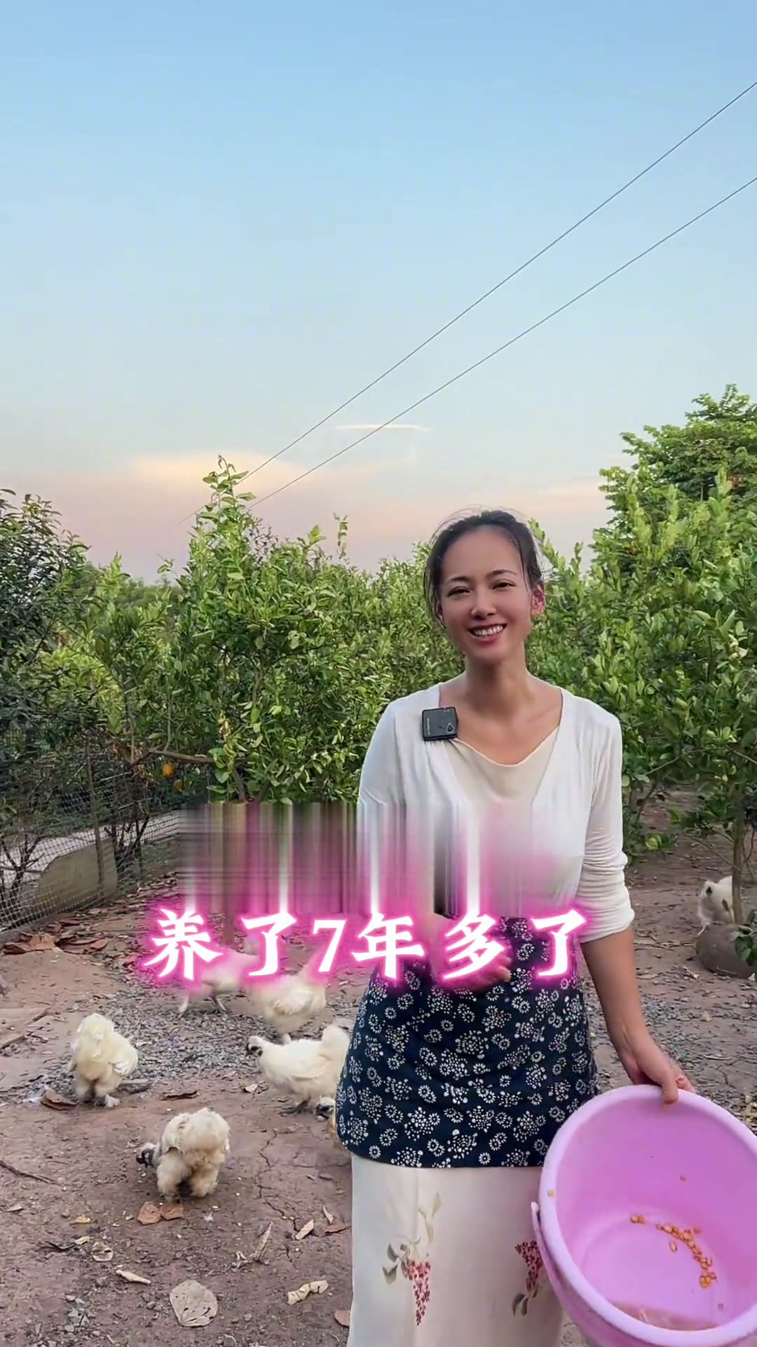 满山的白毛鸡你知道它的名字吗?这样的鸡肉你吃过没