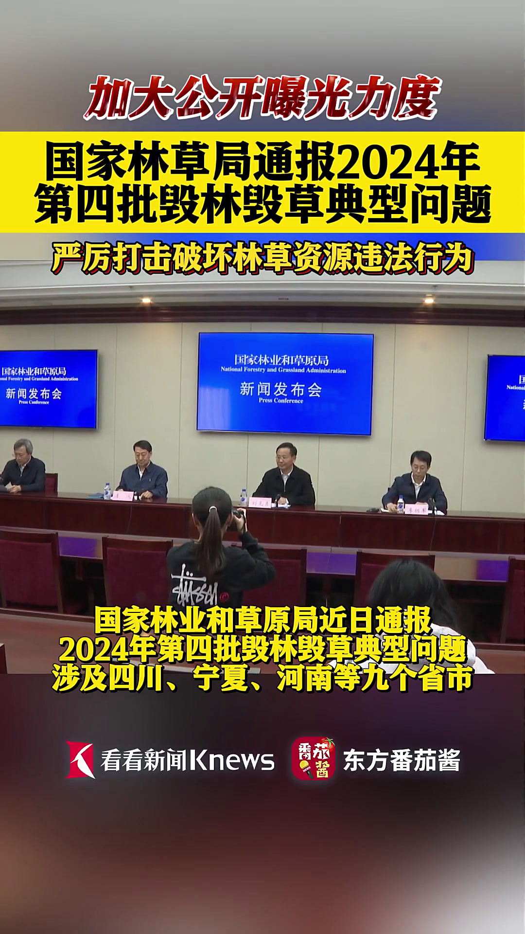 国家林草局通报2024年第四批毁林毁草典型问题
