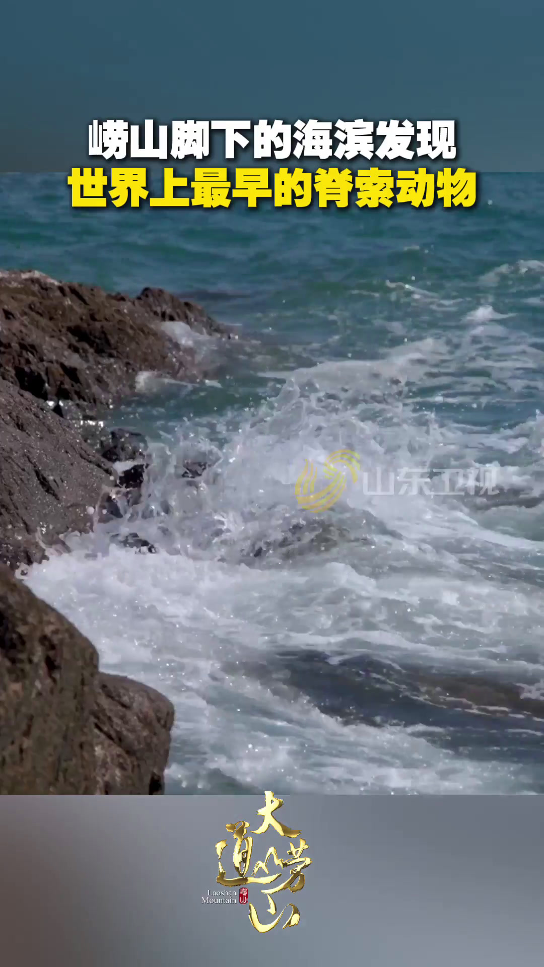崂山脚下发现最早的脊索动物
