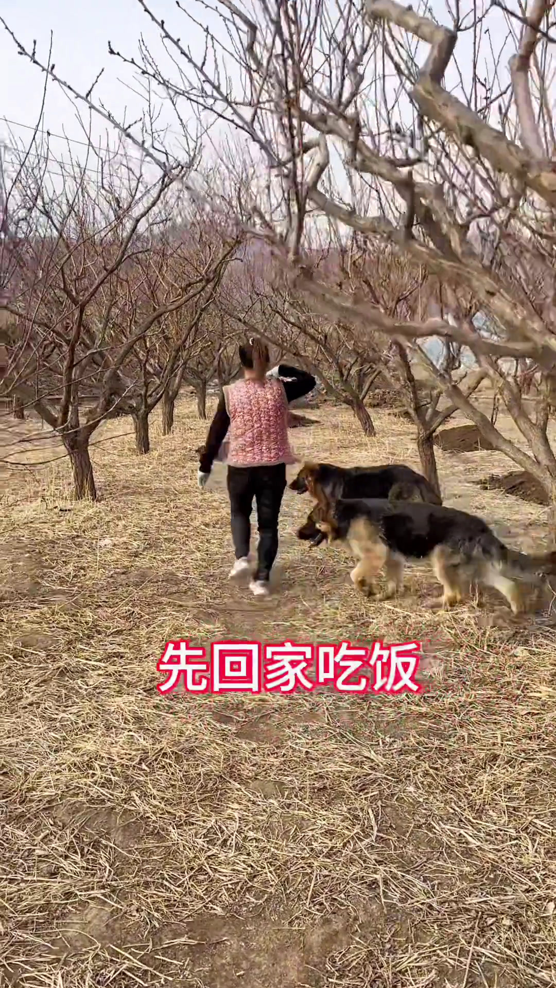 莜面山药鱼鱼减肥代餐食品