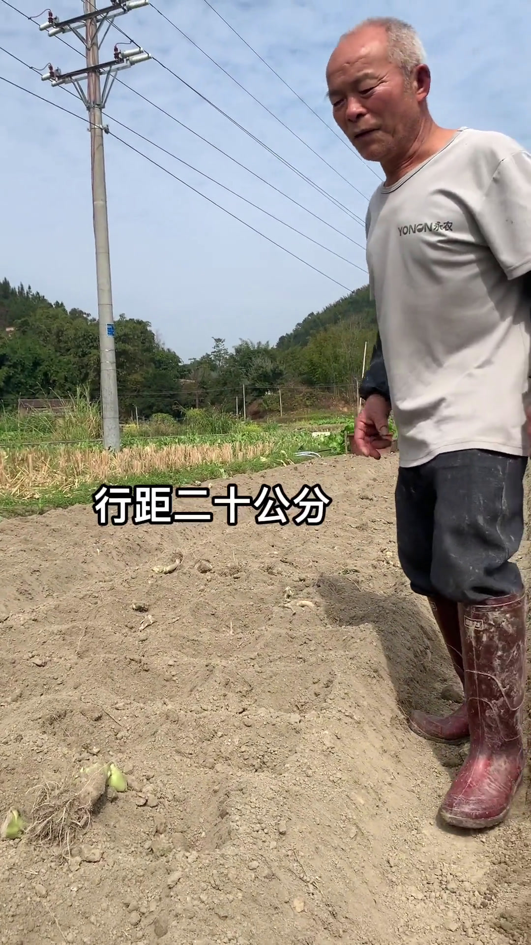 短短一分钟记录了我家芥菜的整个生长过程