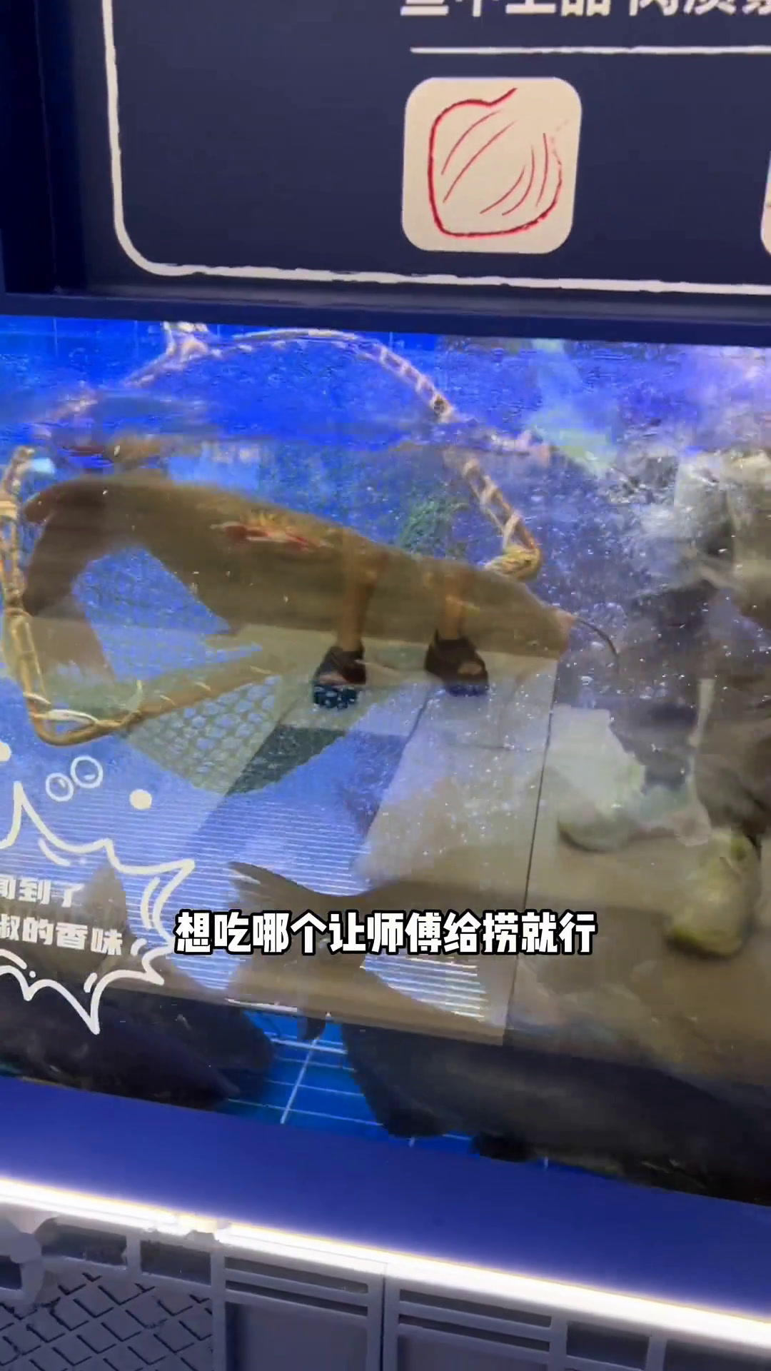 鱼酷万象城新店开业超划算,1元代50鱼酷活鱼烤鱼真材实料好味道济南美食吃货福利新店开业
