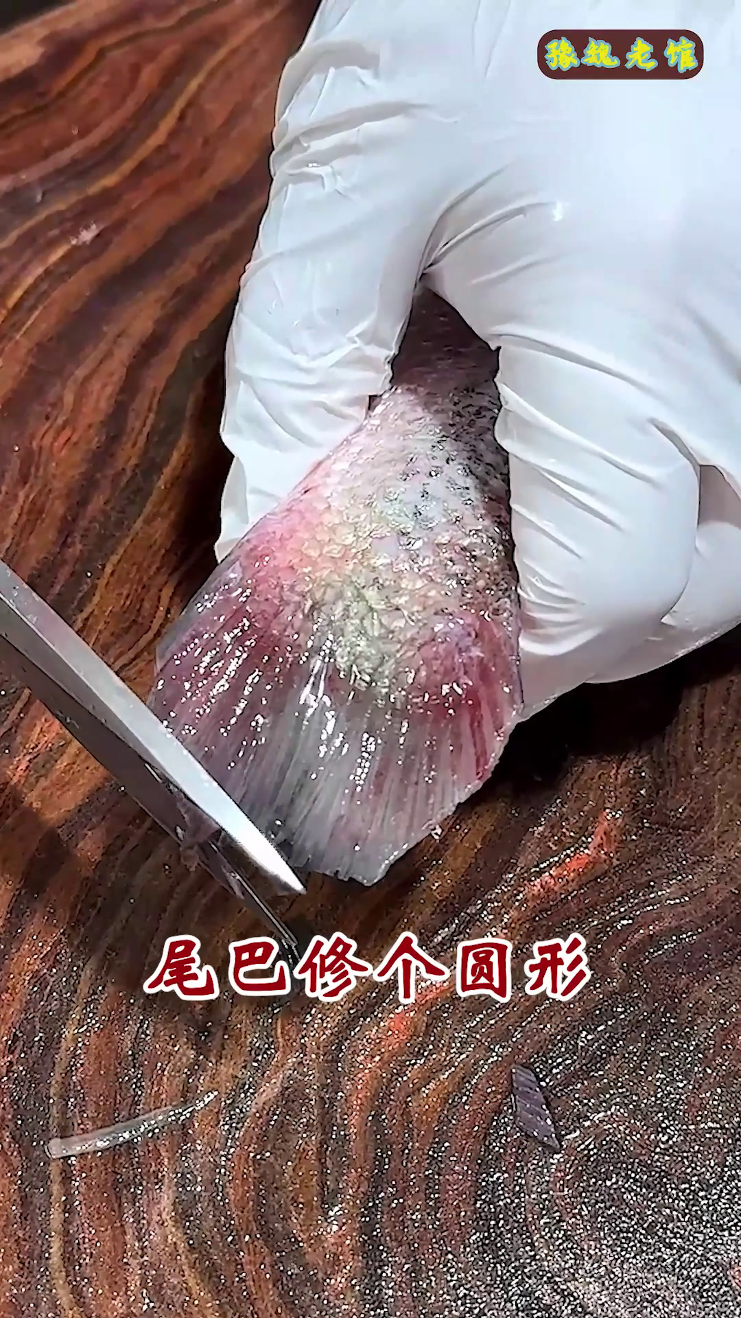 鲜香领航,一口就爱上的老式清蒸鱼~