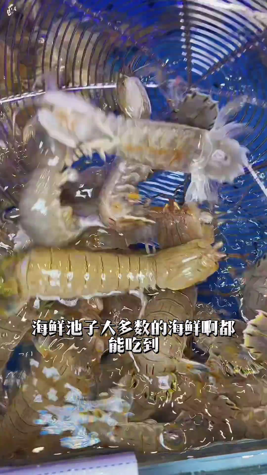 来大连不吃海鲜烧烤吃什么?没吃过他家相当于没吃过大连海鲜烧烤千户川千户川海鲜烧烤大排档大连