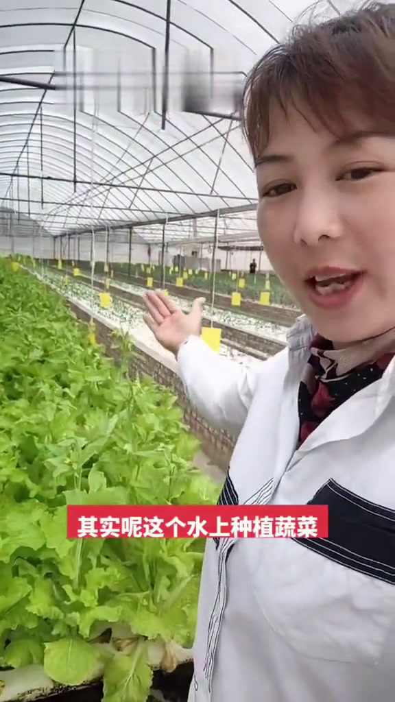 有很多朋友在质疑这个水上蔬菜是怎么种植的,今天给大家解释一下