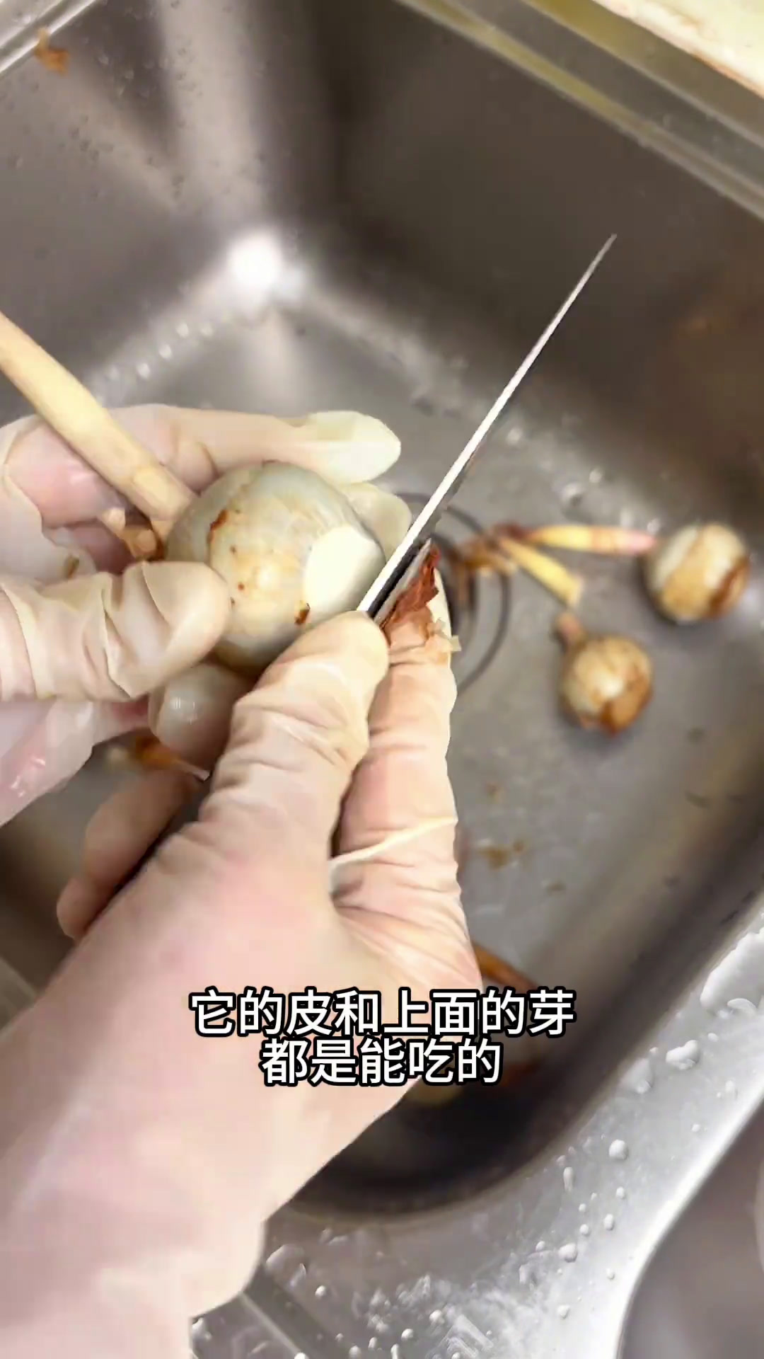 茨菇正当季,今天做茨菇焖肉,可香了。还有香煎沙锥鱼、海鲜粉丝煲、烧骨菜干汤家常便饭吃得香简