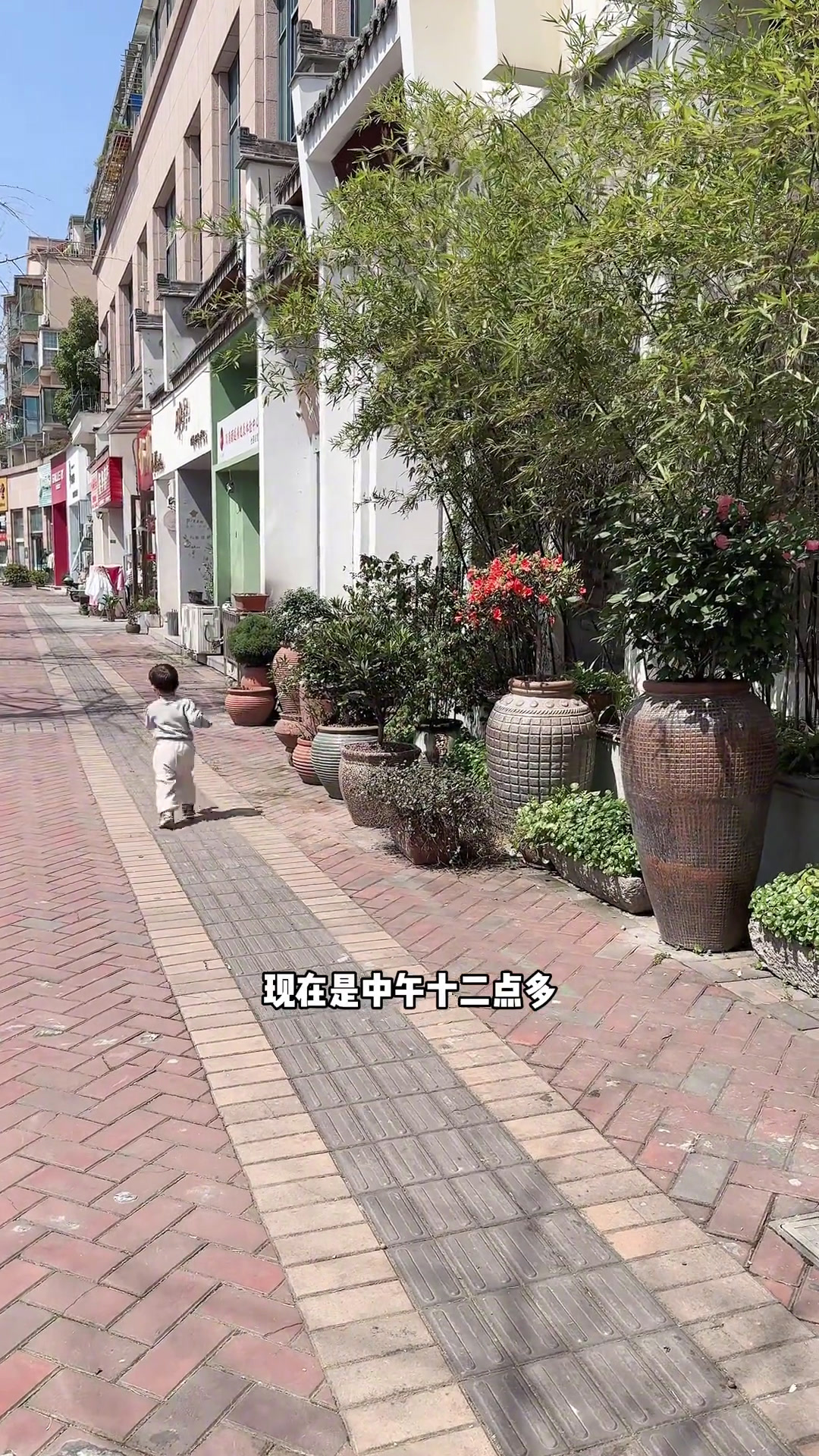 浙江人的晚餐,看我今天给家里人做了什么好吃饭菜,做了花螺鸡翅,咸蛋黄菌菇排骨汤,芹菜炒香干