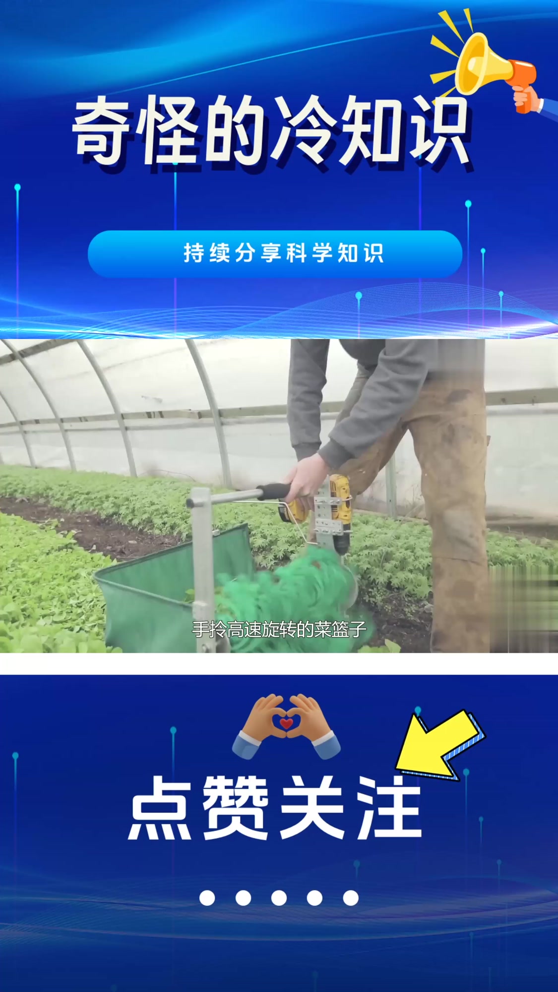 国外发明沙拉菜收割机,只收割沙拉菜叶,工作效率远超人工