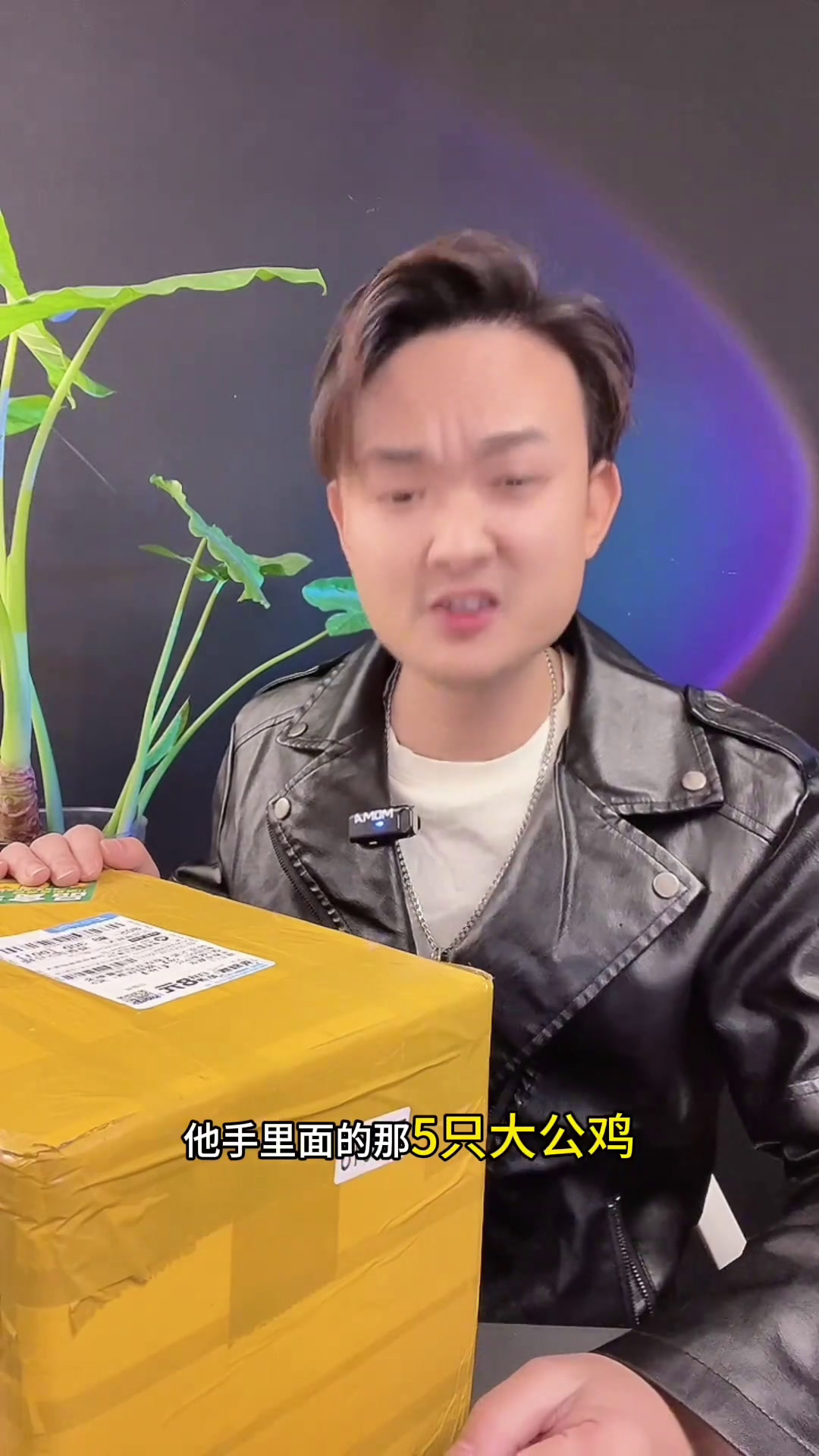 测评避坑散养土鸡99三支大公鸡有多坑人