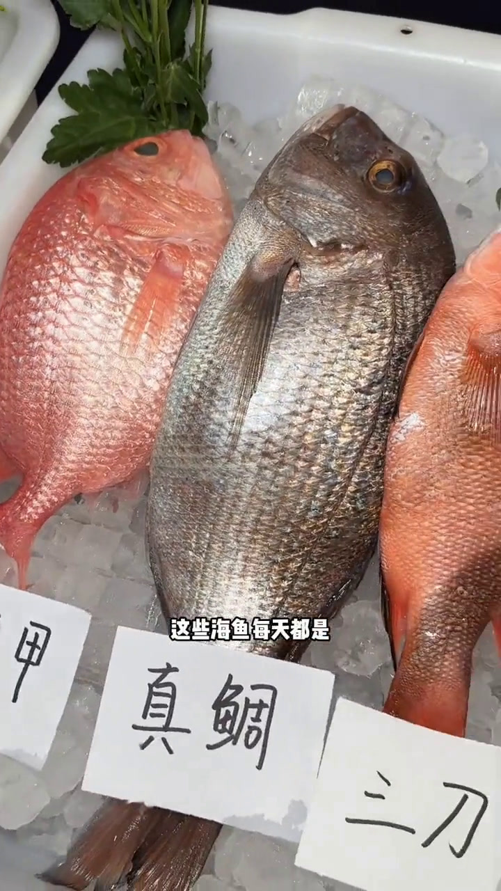 高档牛肉海鲜火锅,环境优雅,请客吃饭好地方海鲜火锅海鲜美食诱惑你刺身美食牛肉海鲜大咖每天都