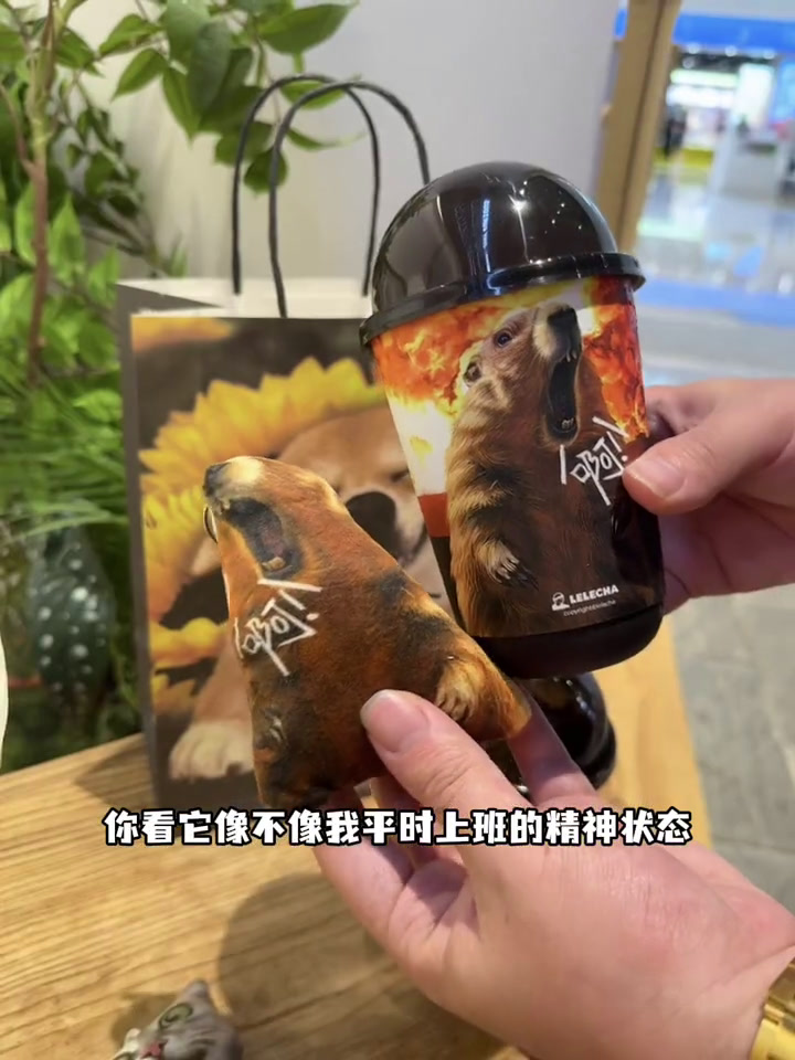 10几块!喝乐乐茶新品啦!真的好喝～周边巨萌!爱住啦!谁懂这一口的好吃程度乐乐茶乐乐茶奶茶