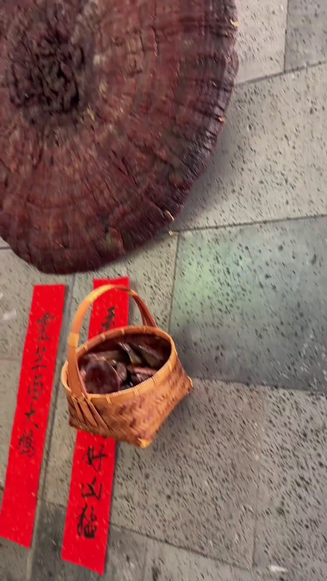 大蜀山脚下有一家很神奇的土菜馆!竟然有灵芝卤老鹅!美食官美食vlog合肥土菜本地人爱吃的店