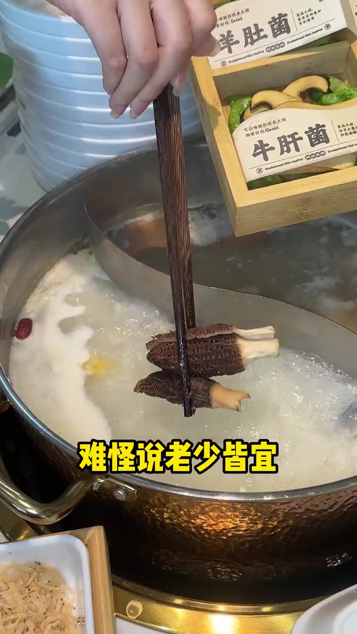 会上瘾!一定要吃的又鲜又美味的斑鱼火锅!美食美食火锅兴叔鱼捞海鲜火锅