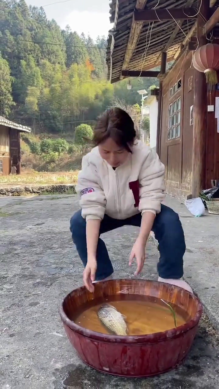 红烧鱼来喽记录真实生活红烧鱼杨正肆