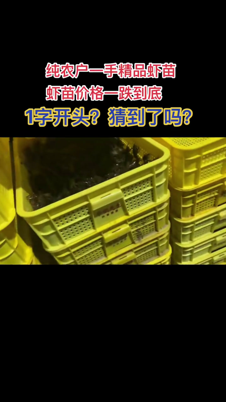 潜江虾苗跌到1字开头了?实拍潜江王场龙虾基地投苗现场