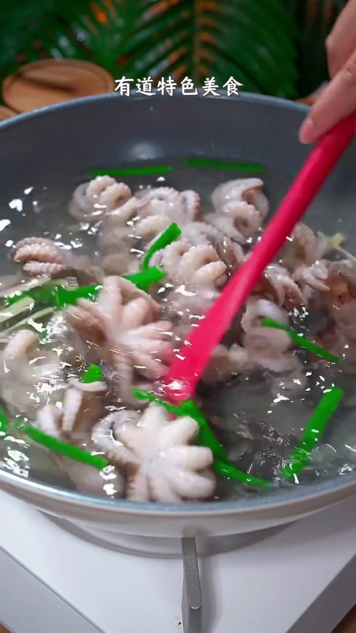 产自北海的短腿小八爪,软萌可爱。肉质q弹鲜嫩,一口爆汁!不花心品牌配料干净,品质有保障。辣