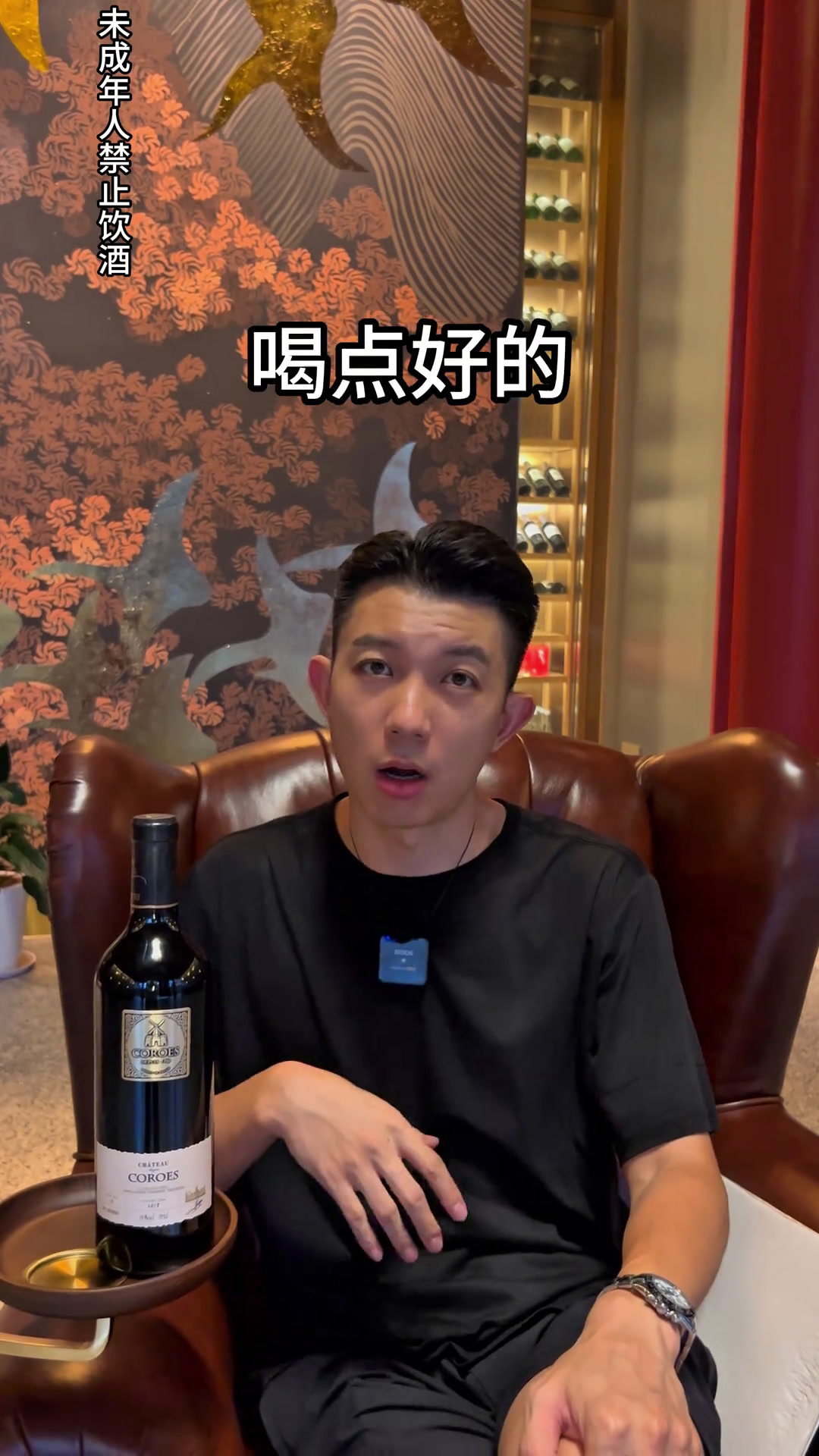 红酒性价比好酒葡萄酒进口红酒干红