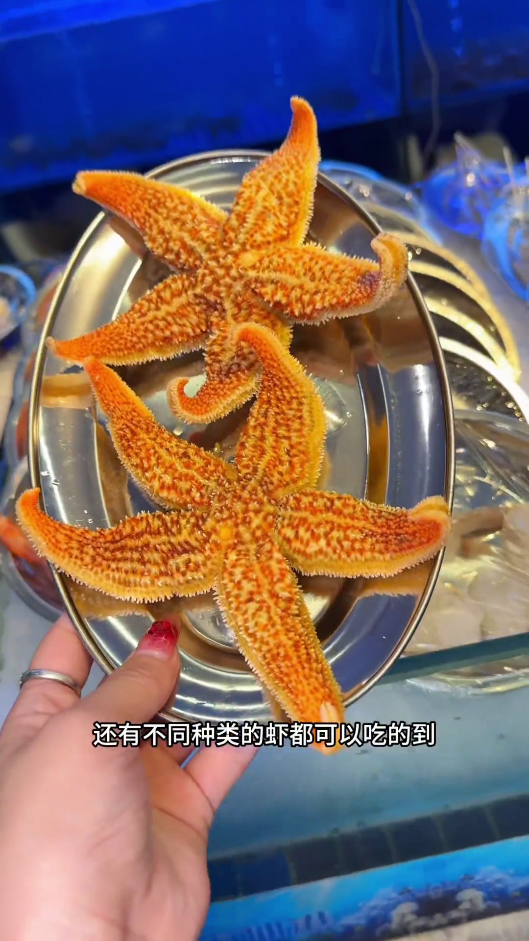 新街口友谊广场新开的,海当家海鲜火锅大排档,19.9代50,锅里小料都可以用!城市大玩家海