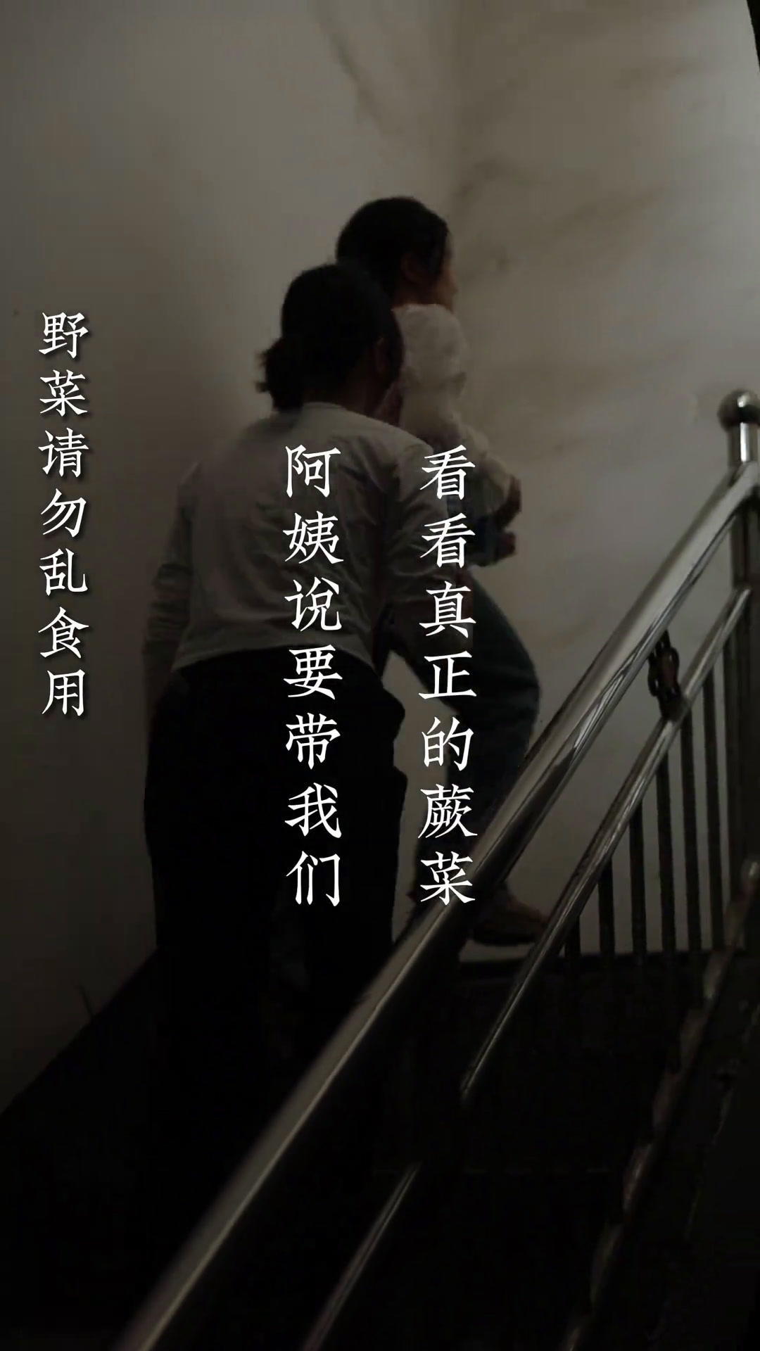 挖蕨菜挖到有毒的,大家吃野菜的时候一定注意甄别美好食光我的家乡美食名片新农人计划农村生活大