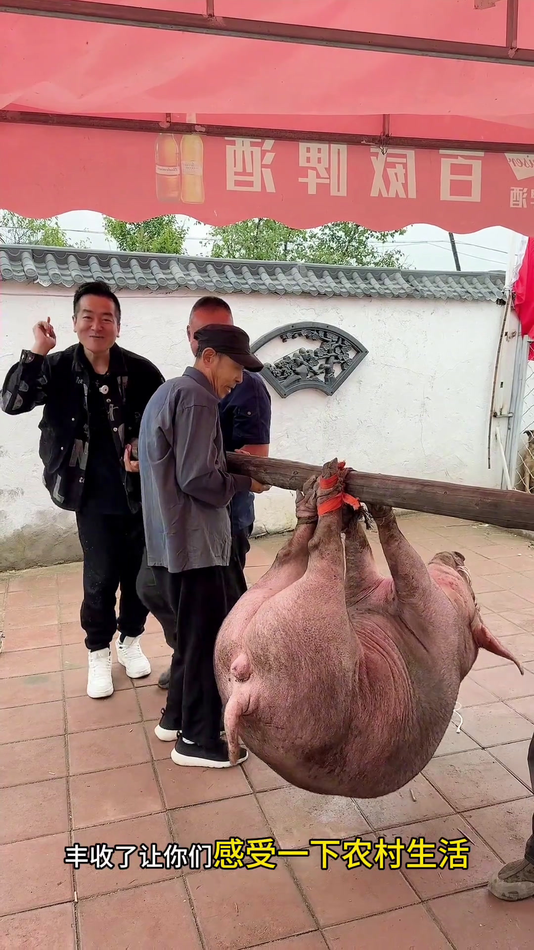 美食新探真材实料才能做出好味道地道美食年猪烩菜