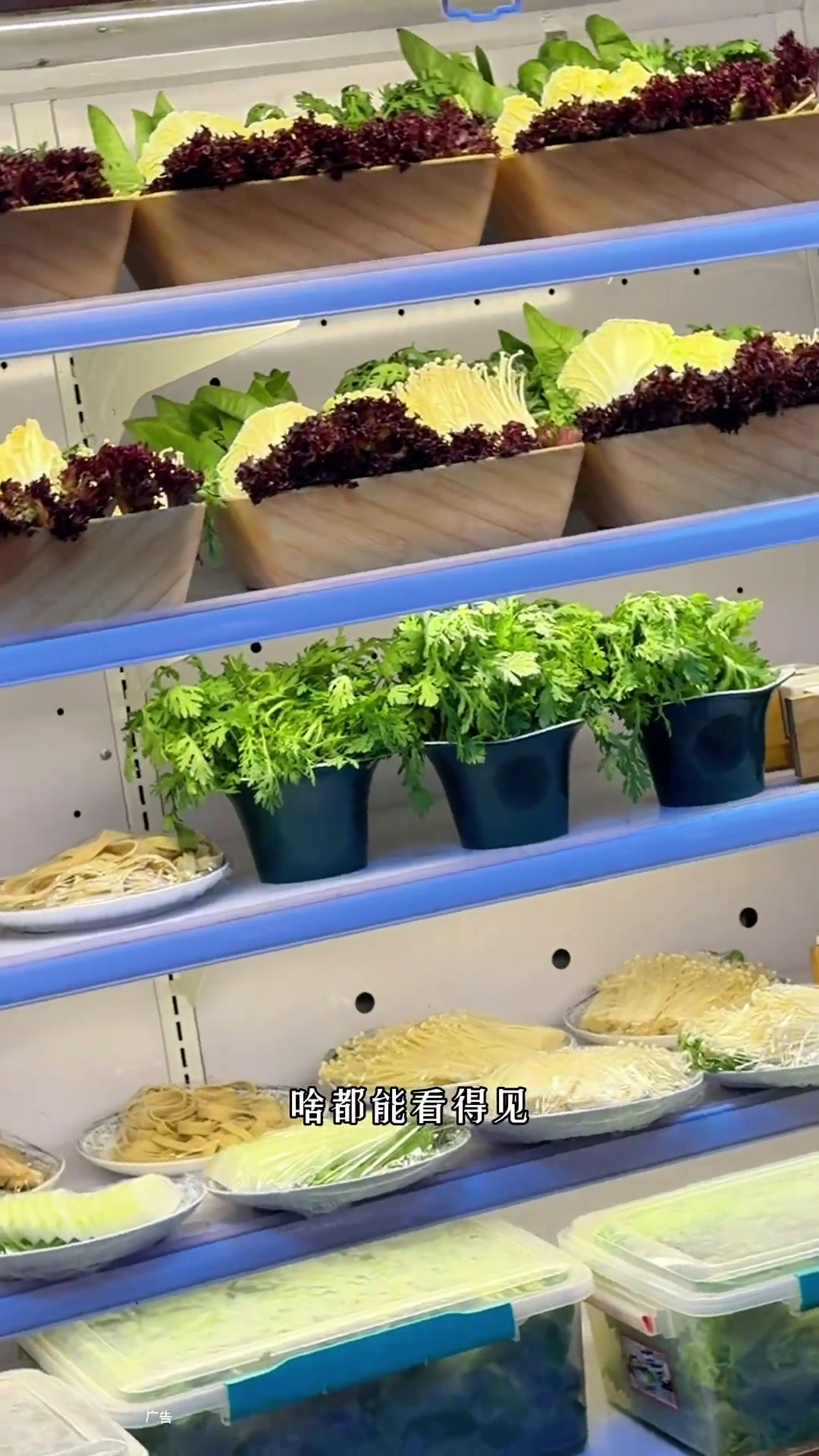 天冷了来吃一顿老北京铜锅涮羊肉,倍儿美,倍儿地道老北京涮羊肉老北京铜锅涮肉焦作街探