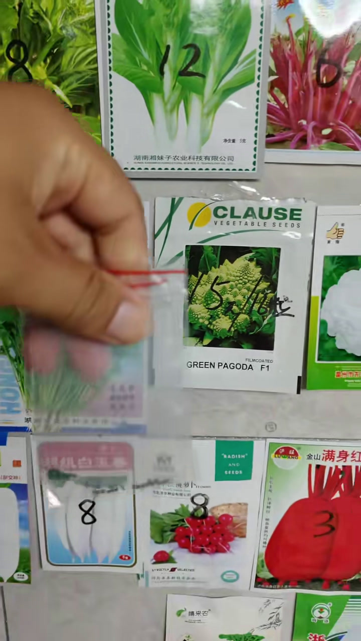 秋播种子 推荐新品种秋播蔬菜种子宝塔花菜,好看、好吃、有营养