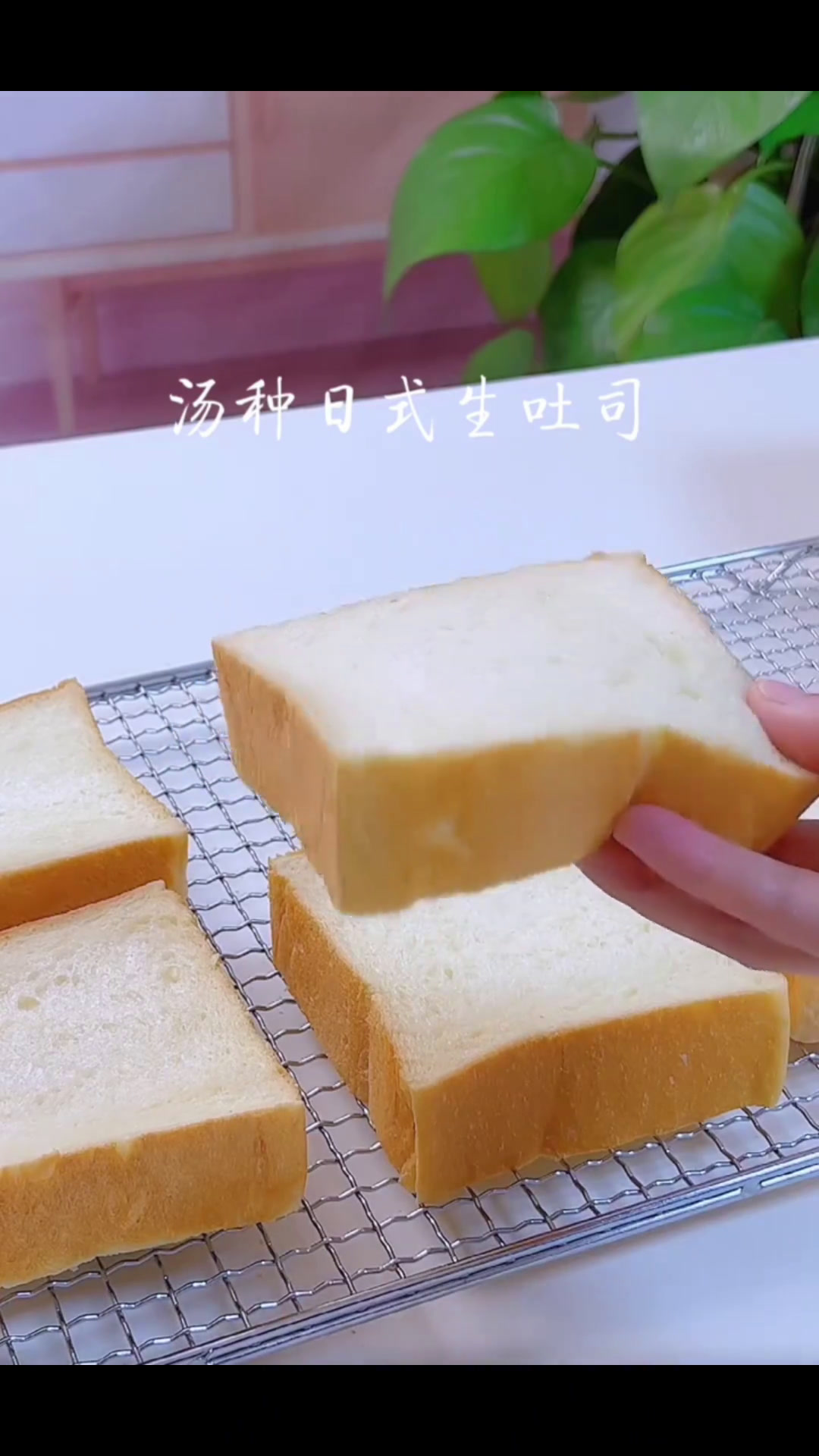 日式生吐司!烘焙配方分享面包在家做面包吐司