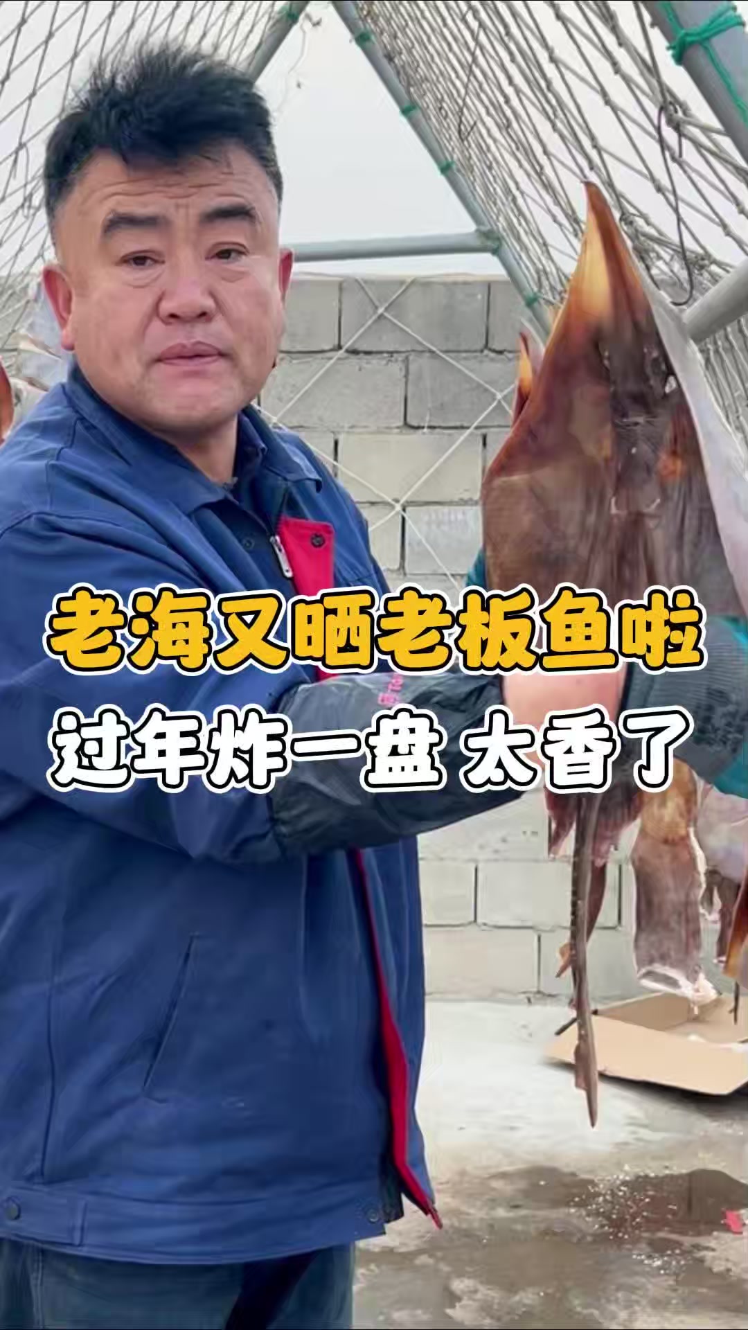 老海又晒老板鱼啦 过年炸一盘太香了