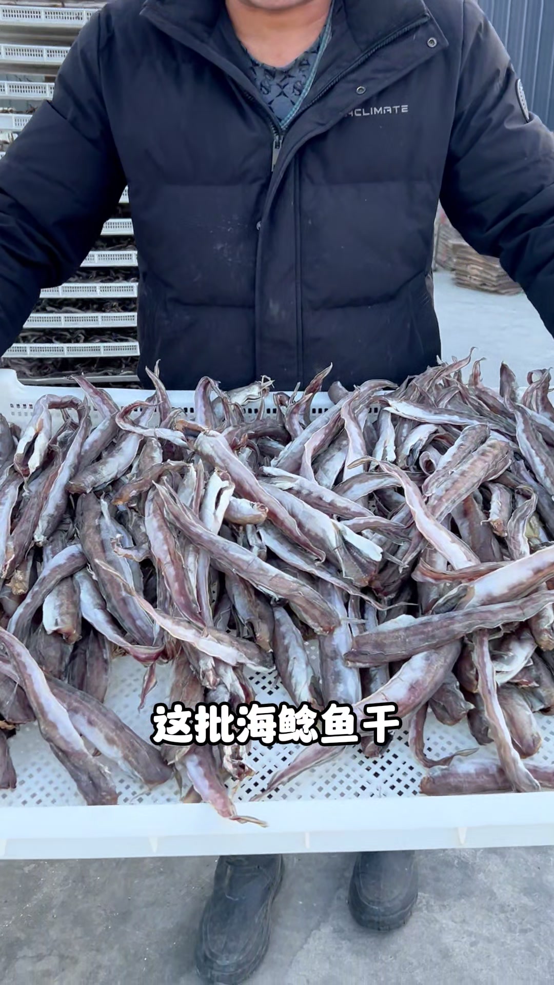 海鲶鱼干晒好了配个馒头吃鲜香美味