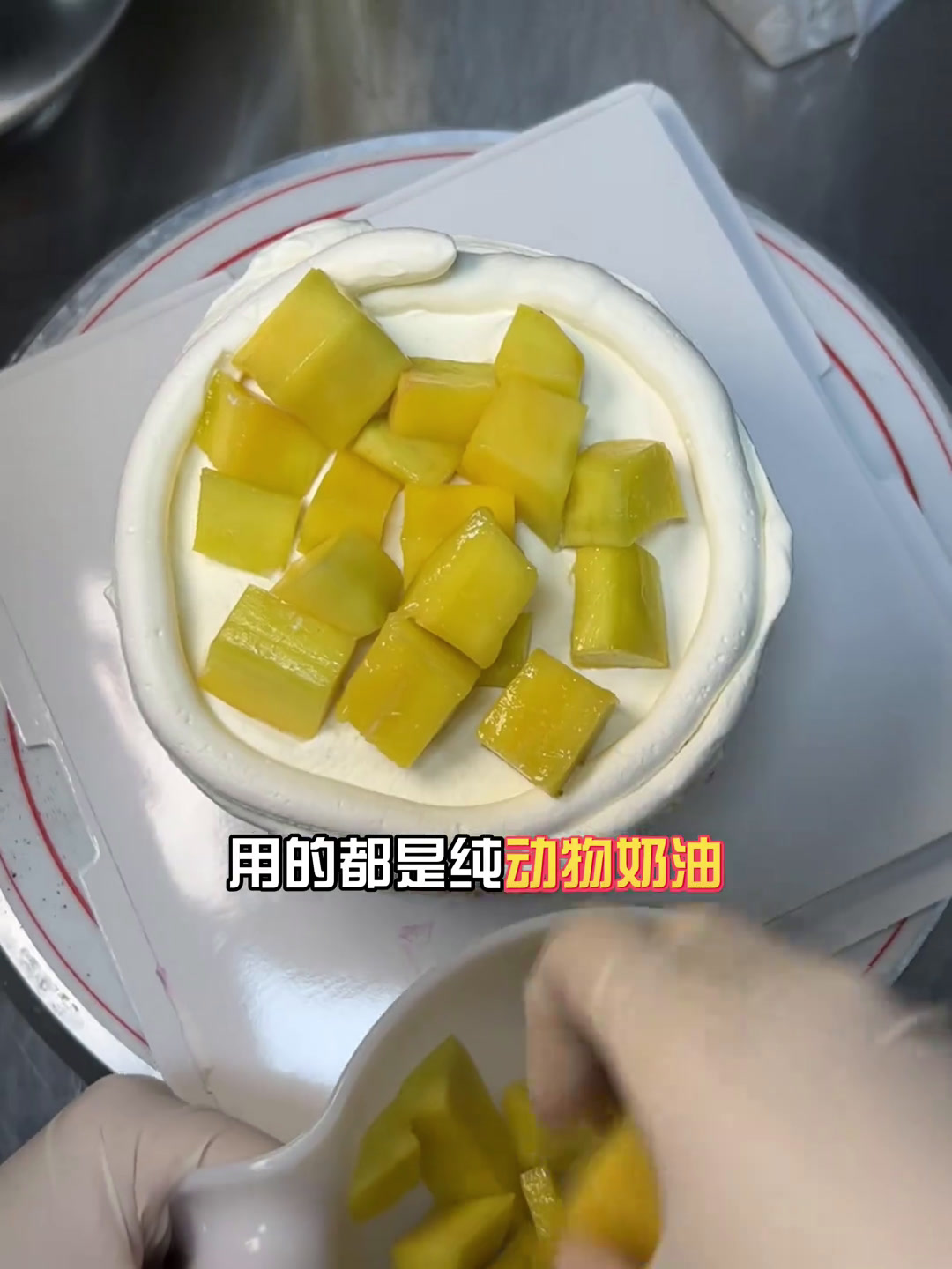 纯动物奶油,顶顶的巧克力,新鲜的应季水果～蛋糕动物奶油蛋糕甜品烘焙好吃的蛋糕