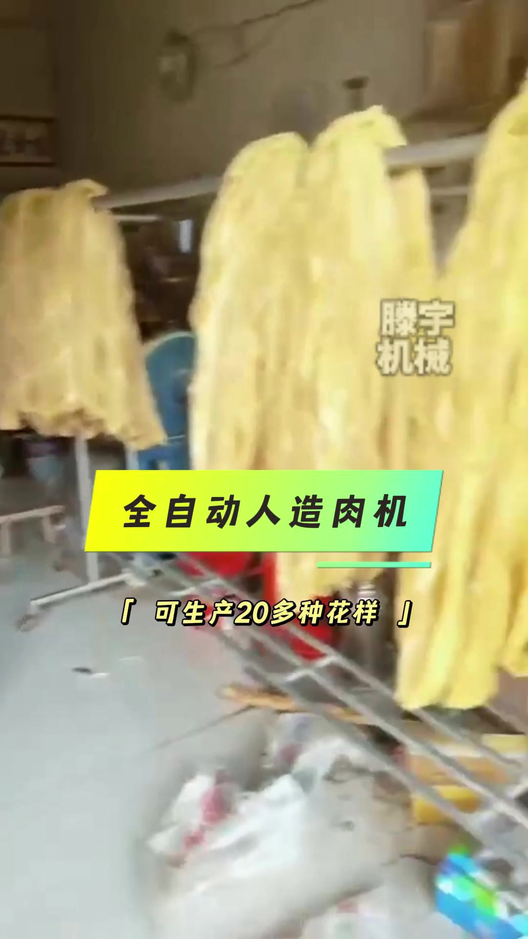 全自动人造肉机,可生产20多种花样