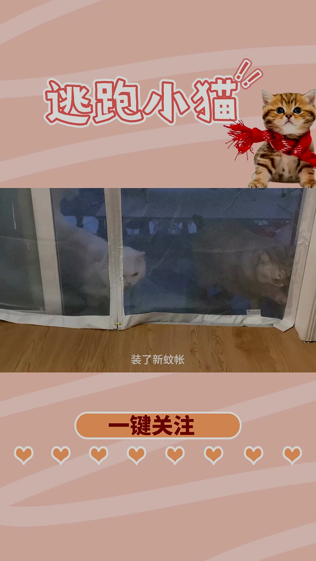 无糖白面馒头先学会开门