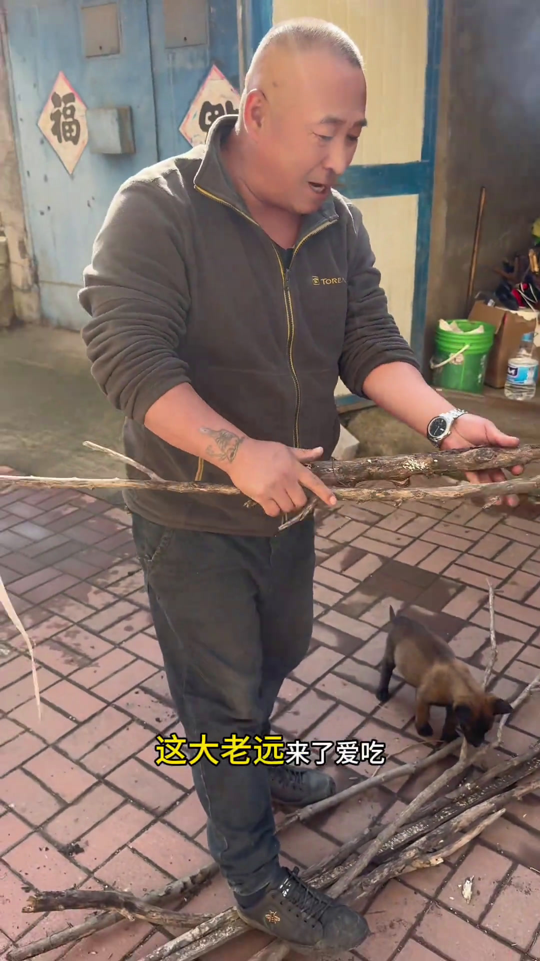 大婷和老舅一起炖东北最有名的杀猪菜,东北人的生活简简单单拿捏豫东大婷小号(分享)豫东小老弟