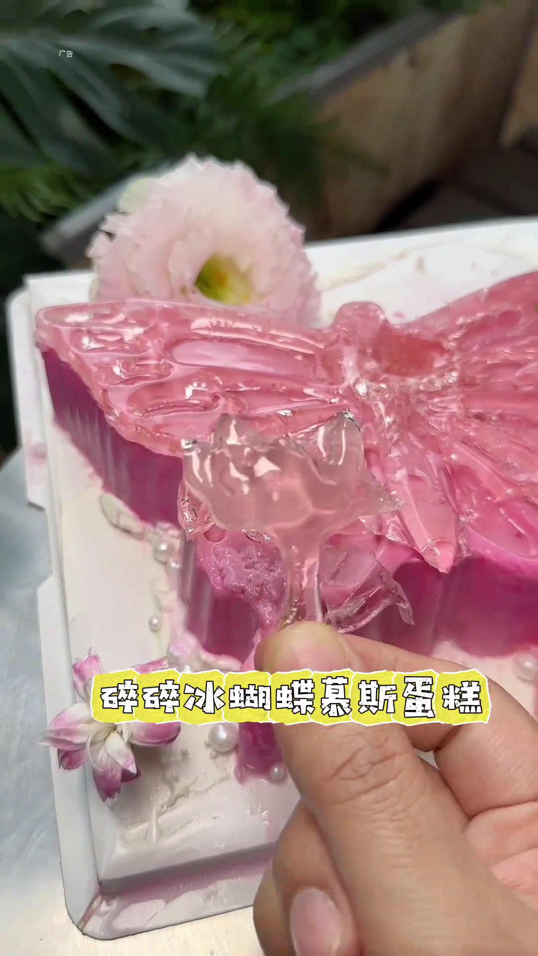 郑州也有很的碎碎冰蝴蝶慕斯蛋糕了,简直太美了,左下角100多还能派送到家附近美食优惠苏爵雅