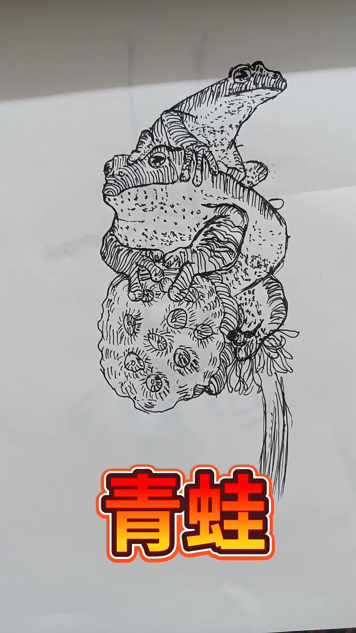 黑白线描画