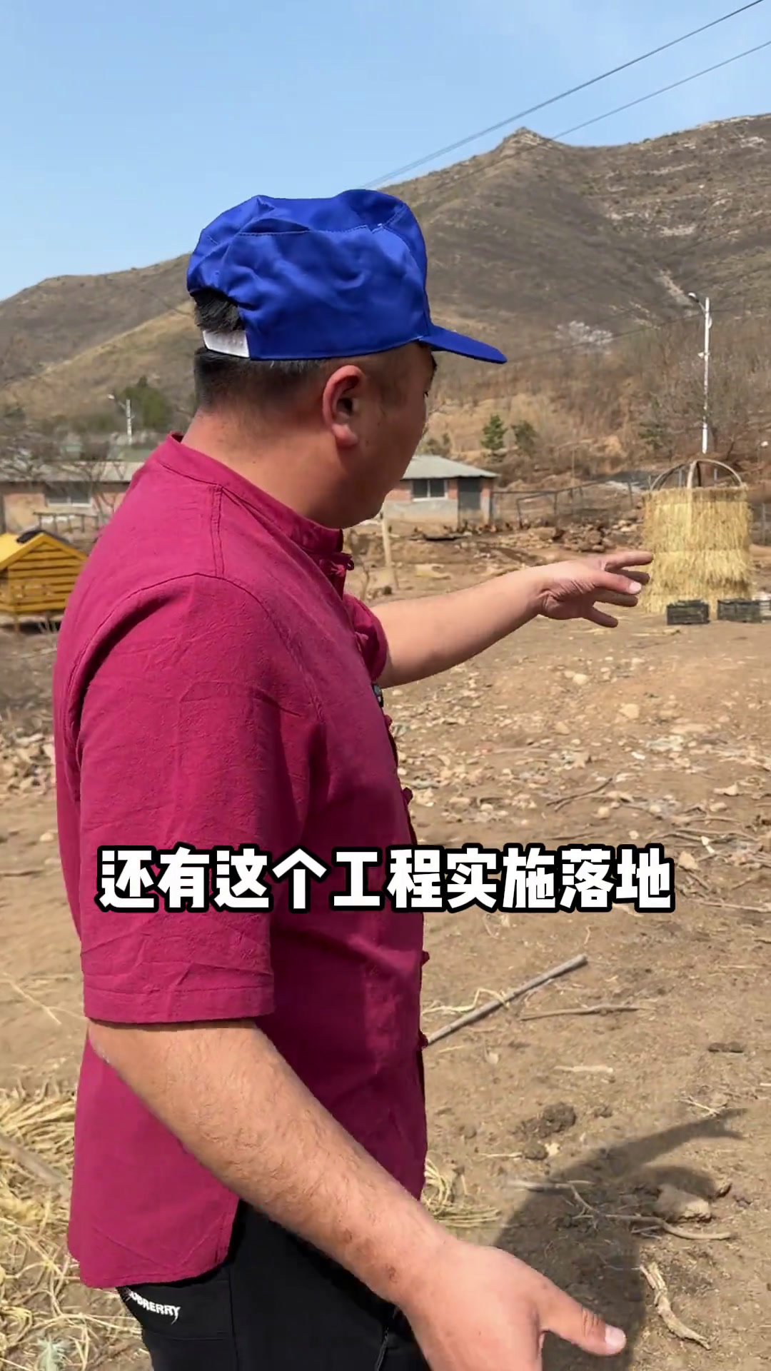 这样的散养鸡基地你们喜欢吗