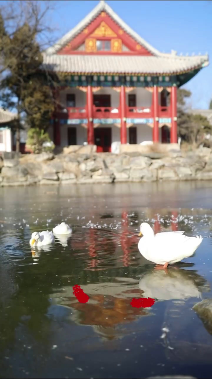 “小孩小孩你别馋,过了腊八就是年!”今天你喝腊八粥了嘛?你家腊八吃什么 和小北分享一下吧!