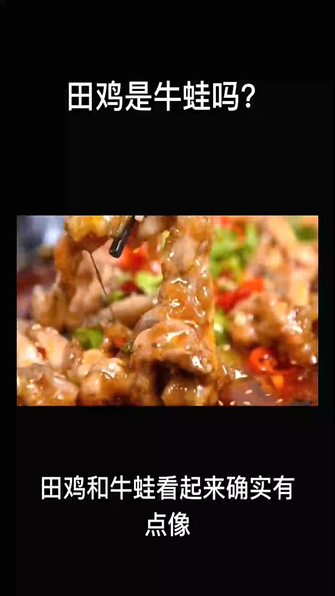 田鸡是牛蛙吗?田鸡牛蛙动物动物世界牛蛙火锅
