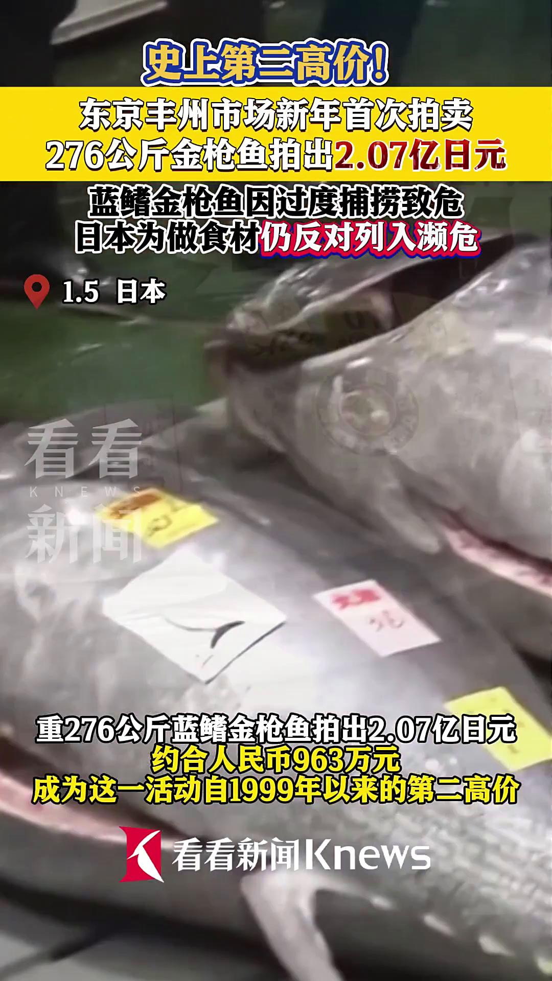 史上第二高价!276公斤金枪鱼拍出2.07亿日元