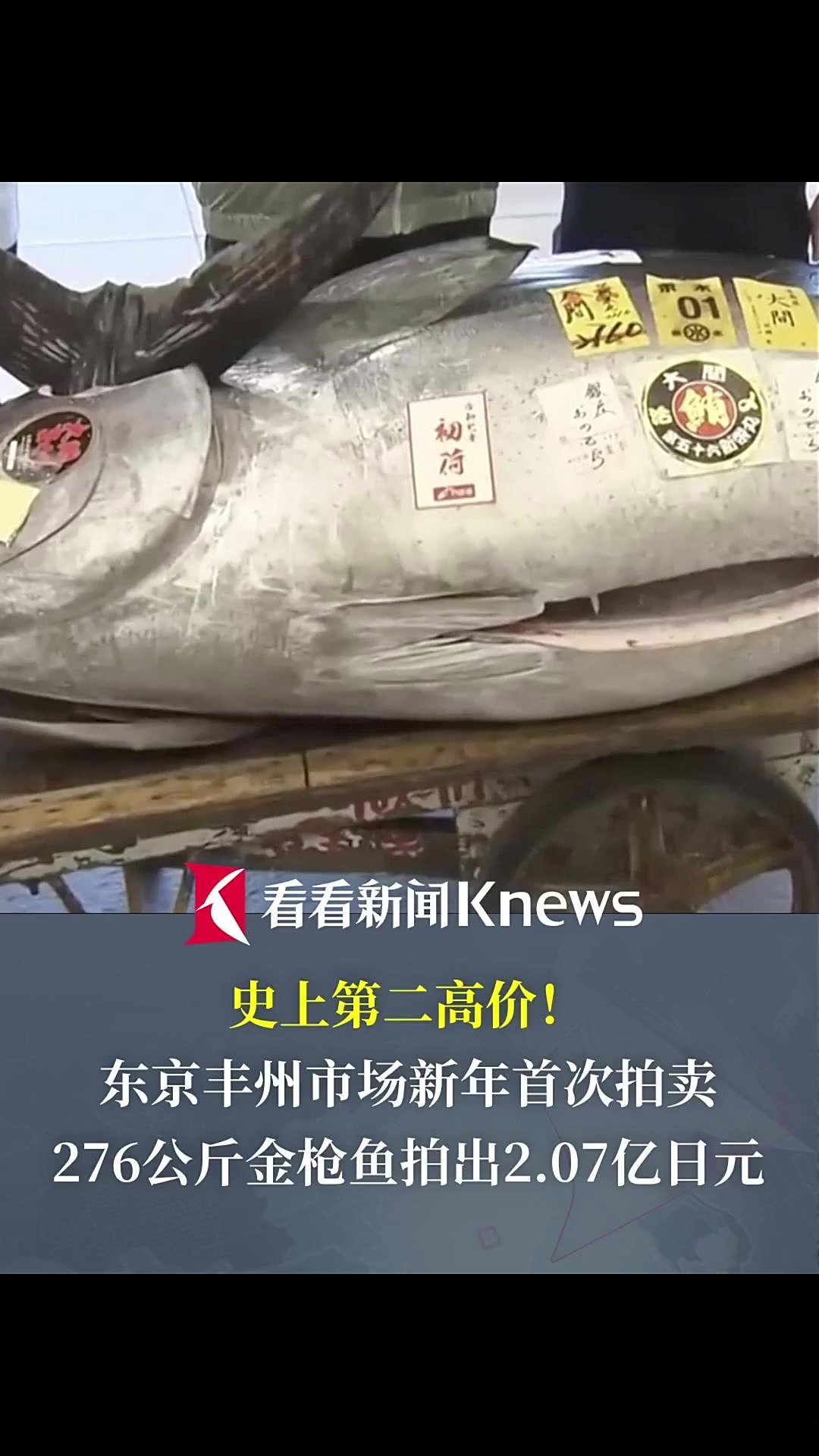 史上第二高价!276公斤金枪鱼拍出2.07亿日元