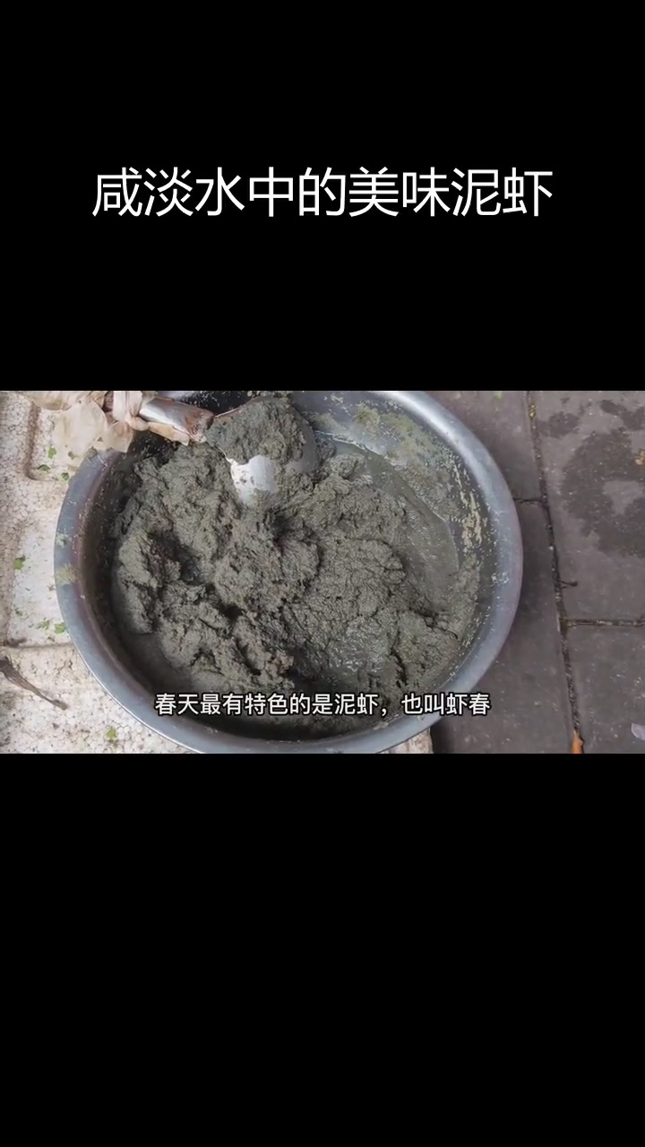 春季泥虾的独特风味
