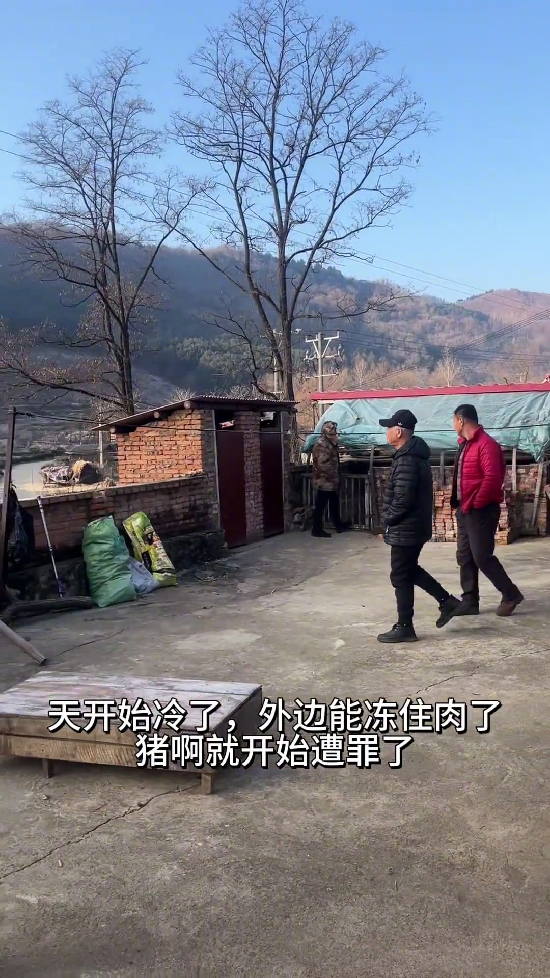 天冷了杀猪了热闹的东北杀猪宴!