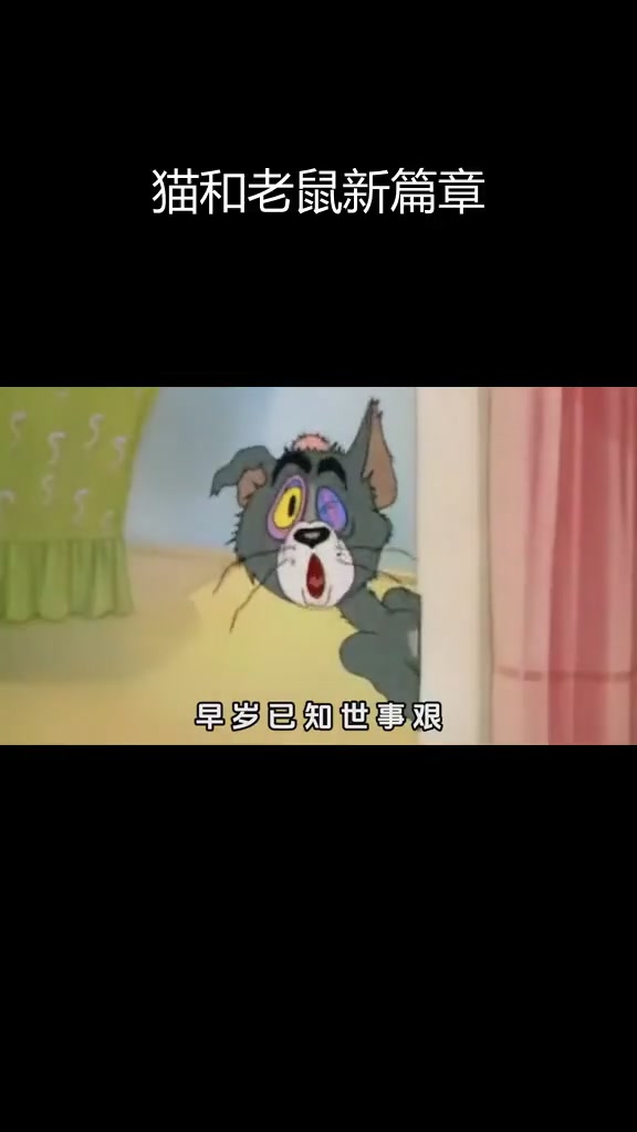 大爱猫尊登场,汤姆猫已成往事