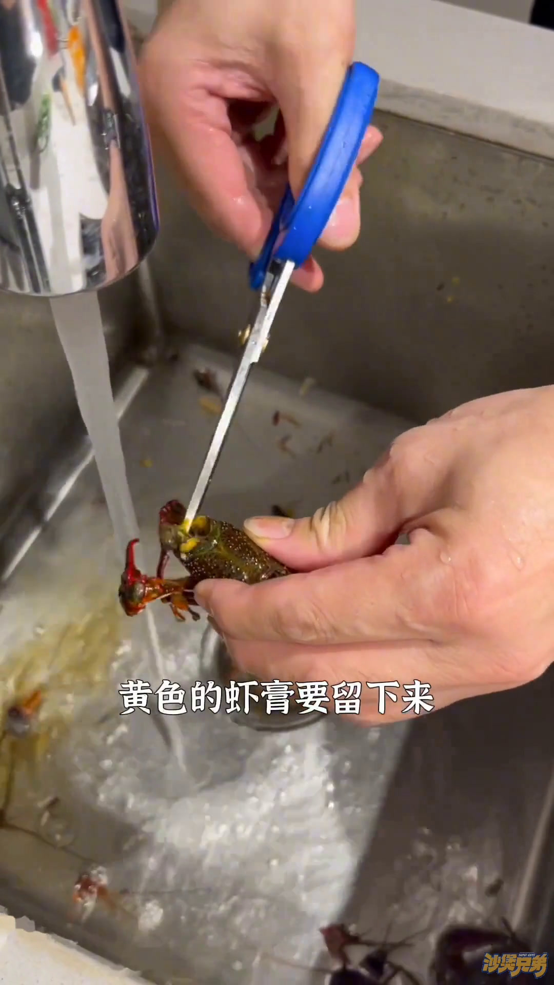 生啫小龙虾顺德美食官粤菜