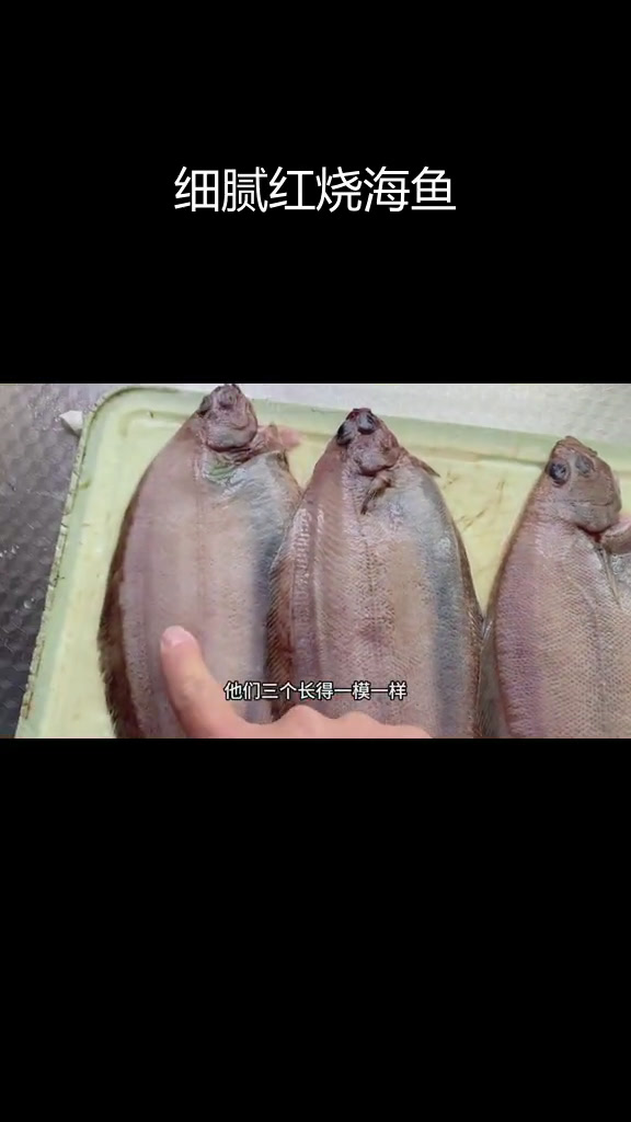 红烧偏口鱼,肉质鲜嫩