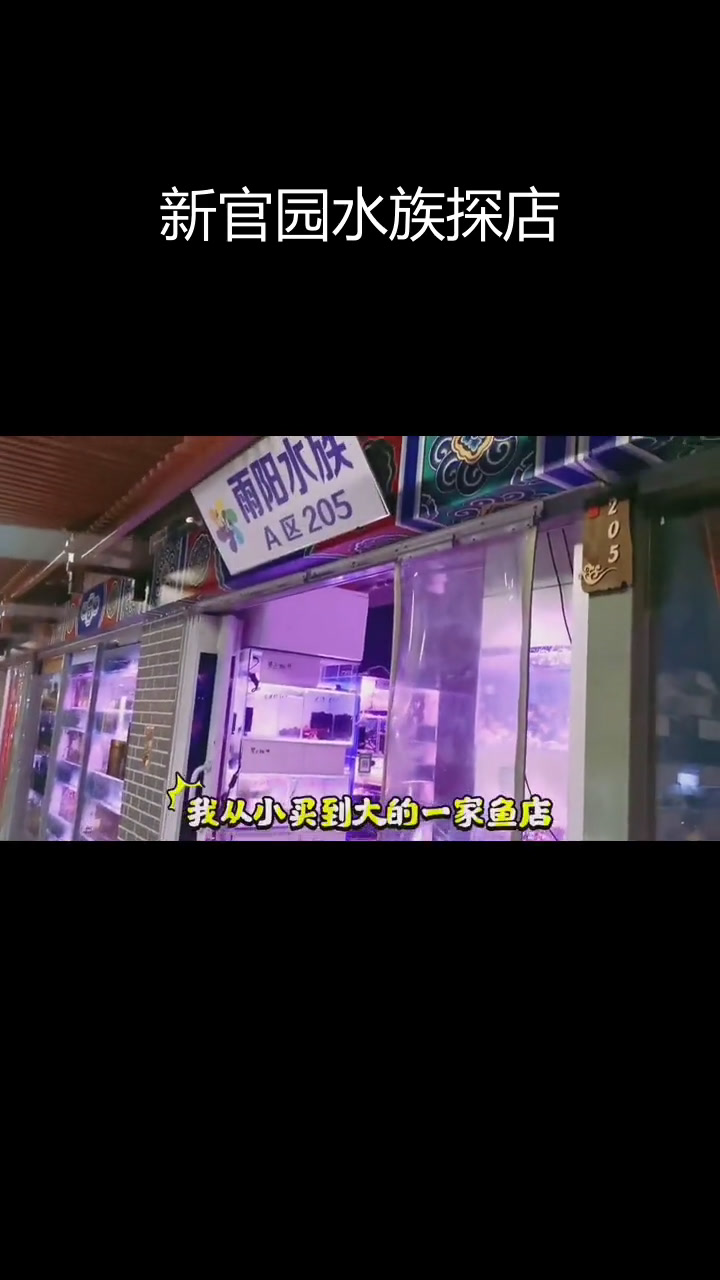 北京新官园花鸟鱼虫市场探秘