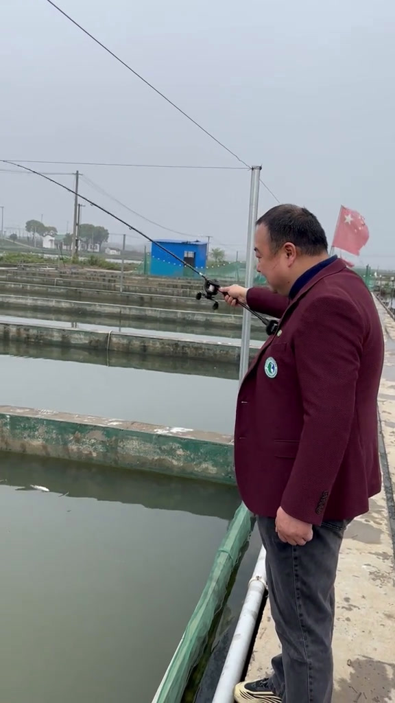 泉水马口鱼好吃得不得了美食官马口鱼楚鱼王老汤渔乐