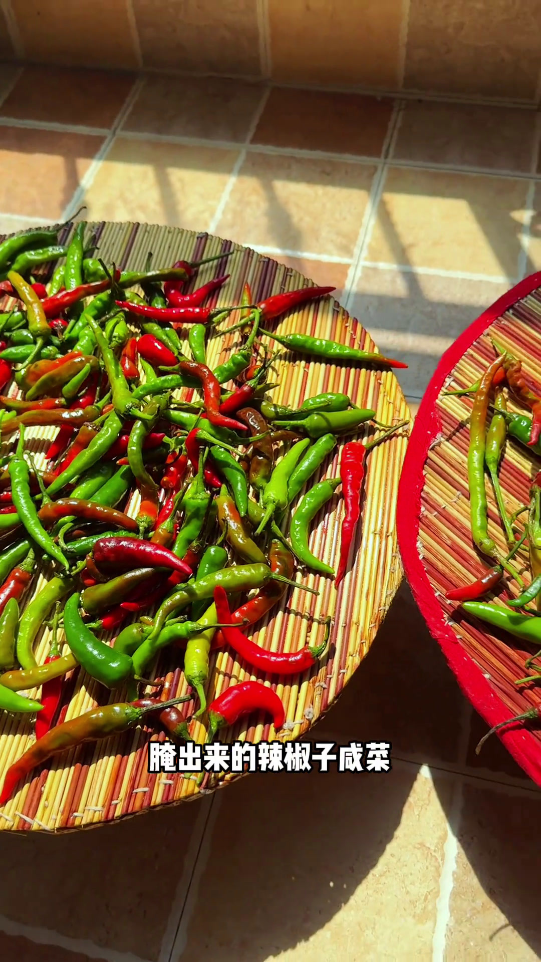 第144集《腌辣椒》吃不完的辣椒这样腌起来,酱香浓郁,开胃又下饭,吃上半年都不坏。美食官下